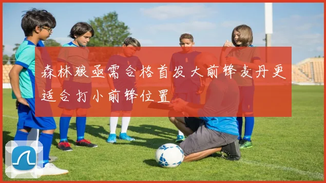 森林狼亟需合格首发大前锋麦丹更适合打小前锋位置